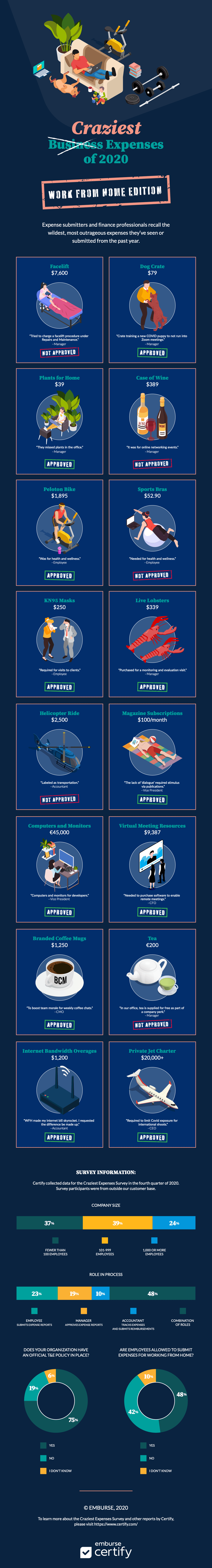 2020 Craziest Expenses: Work From Home Edition infographic